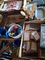 20260624_105511.jpg