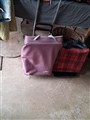 20260819_110250.jpg