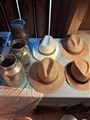 20260819_112033.jpg